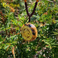 RoseSkyrah™ Tiger's Eye Orgonite Necklace